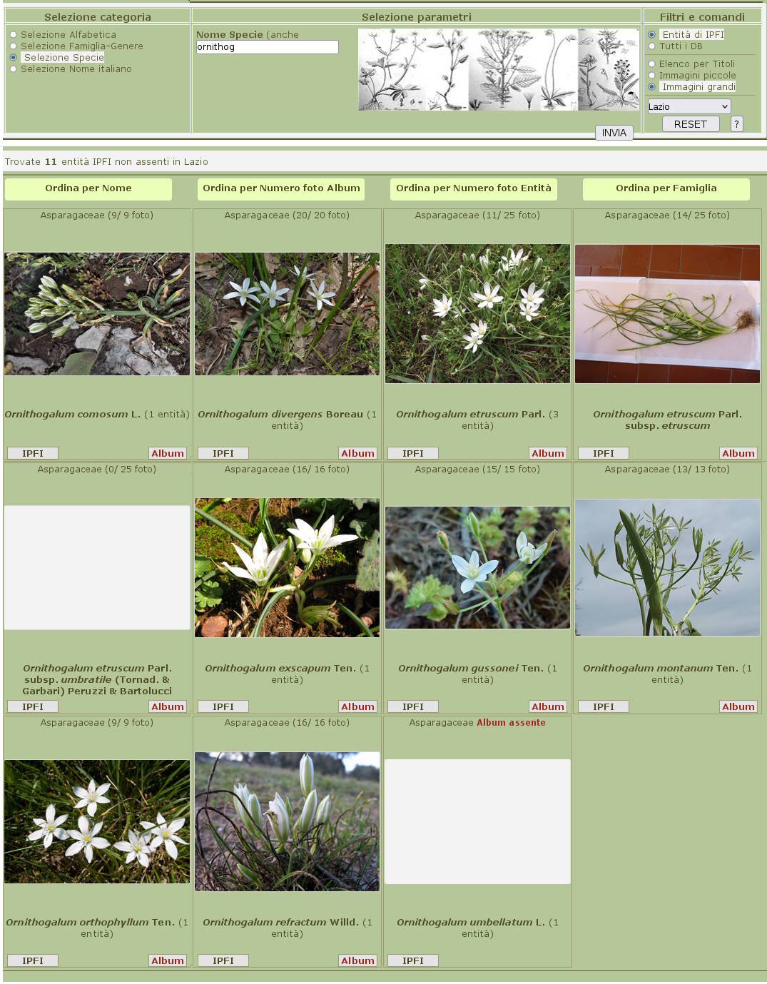 Pianta nell''alto Lazio